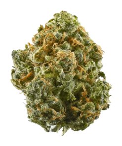 Buy Blue Dream