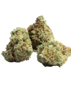 Buy Amnesia Haze