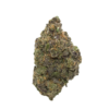 Blueberry Bomb