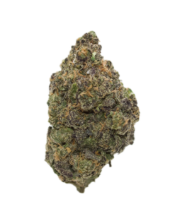 Blueberry Bomb