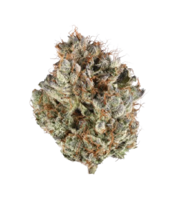 Buy Zombie Haze