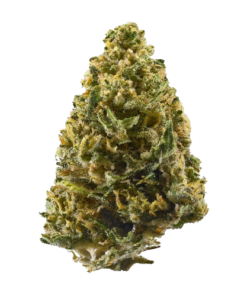 Buy Northern Lights