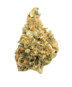 Buy Mango Kush