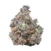 Buy Candyland