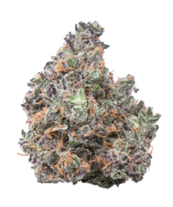 Buy Candyland
