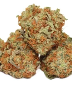 Buy Mango Kush