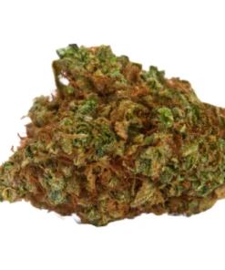 Buy Stardawg smalls