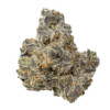 Buy Tropical Runtz