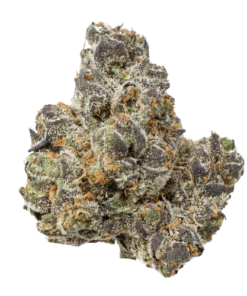 Buy Tropical Runtz