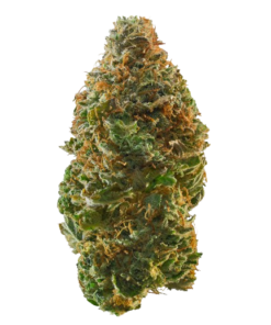 Buy Pedro's Sweet Sativa