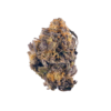 Buy Purple Kush