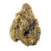 Buy Stardawg