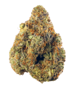 Buy Stardawg