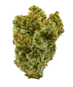 Buy Super Silver Haze